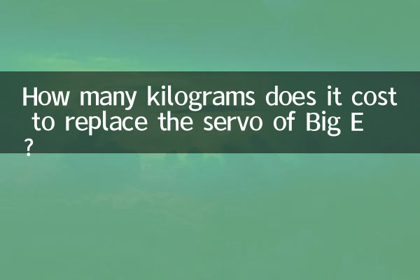 Quantos quilogramas custa para substituir o servo do Big E?
