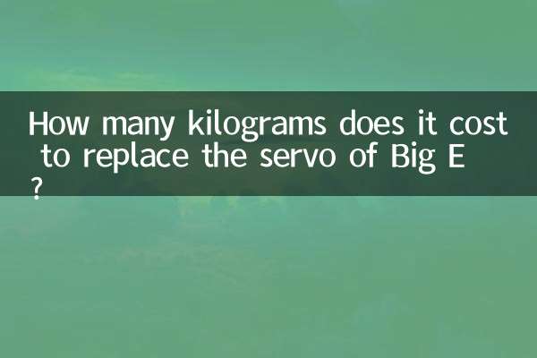 How many kilograms does it cost to replace the servo of Big E?