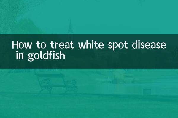 نحوه درمان بیماری لکه سفید در ماهی قرمز