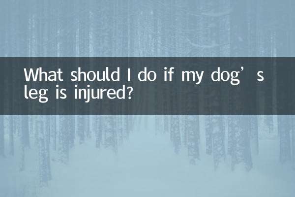 اگر پای سگم آسیب دید چه کار کنم؟