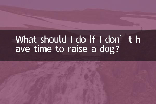 কুকুর পালনের সময় না থাকলে আমার কী করা উচিত?