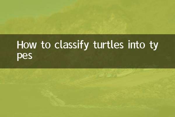 কচ্ছপকে কিভাবে প্রকারভেদ করা যায়