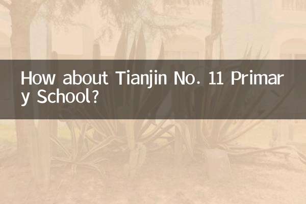 Che ne dici della scuola elementare n. 11 di Tianjin?