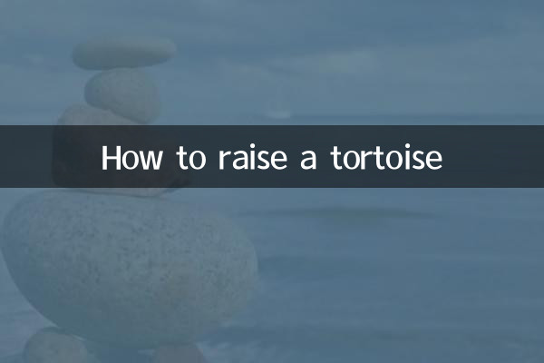 거북이를 키우는 방법