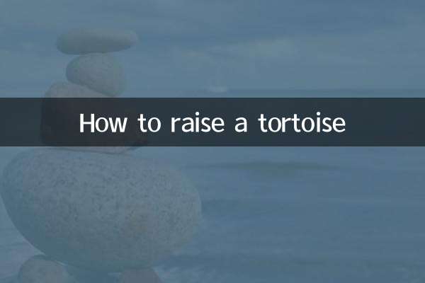 कछुआ कैसे पालें