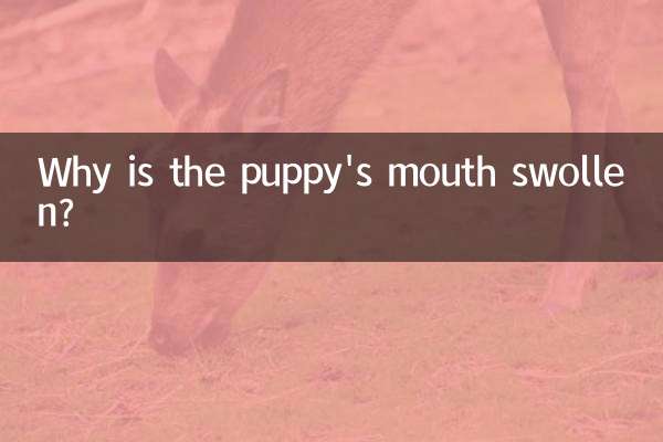 کتے کا منہ سوجن کیوں ہے؟