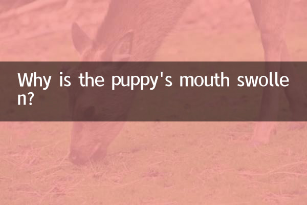 کتے کا منہ سوجن کیوں ہے؟