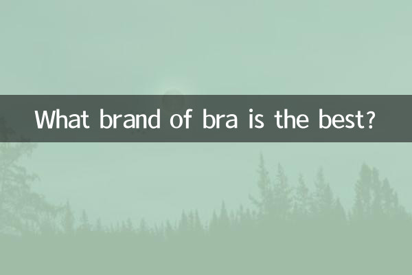 بهترین سوتین چه مارکی است؟