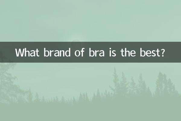 بهترین سوتین چه مارکی است؟