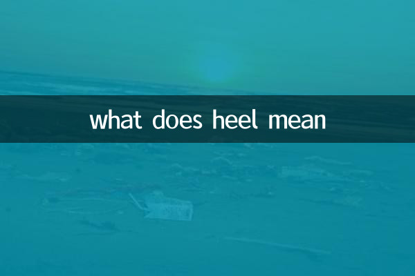 踵的意思是什麼