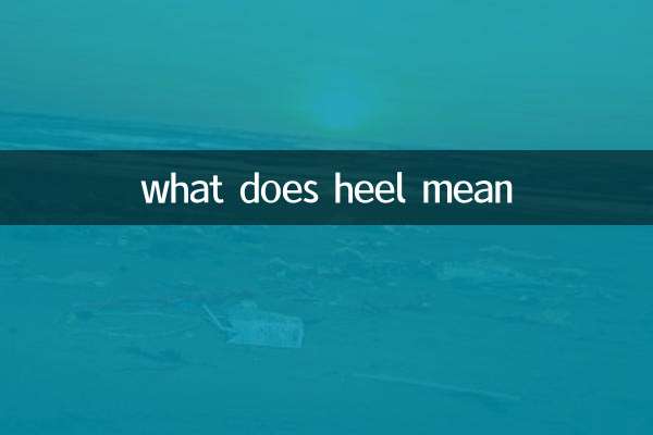 एड़ी का क्या मतलब है