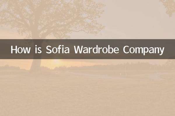 Как проживает Sofia Wardreobe Company