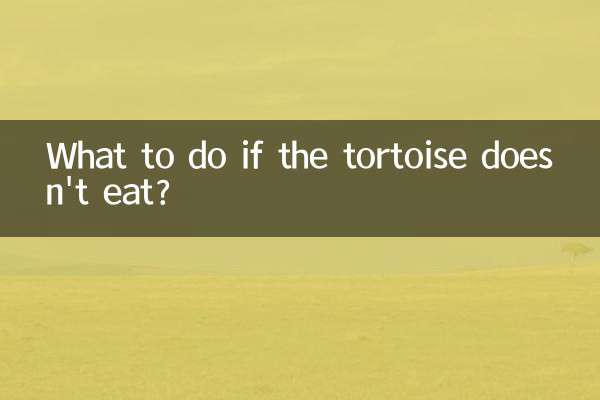 カメが餌を食べない場合はどうすればいいですか？