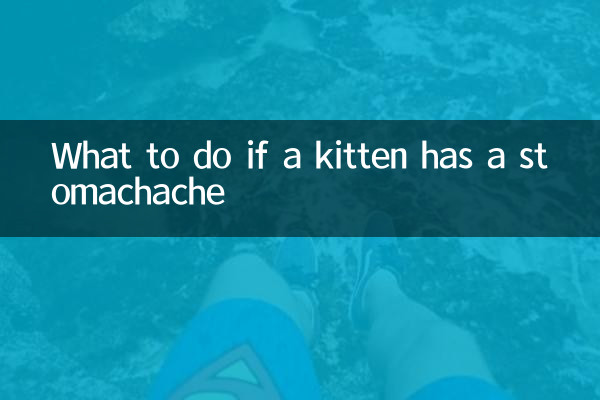 What to do if a kitten has a stomachache