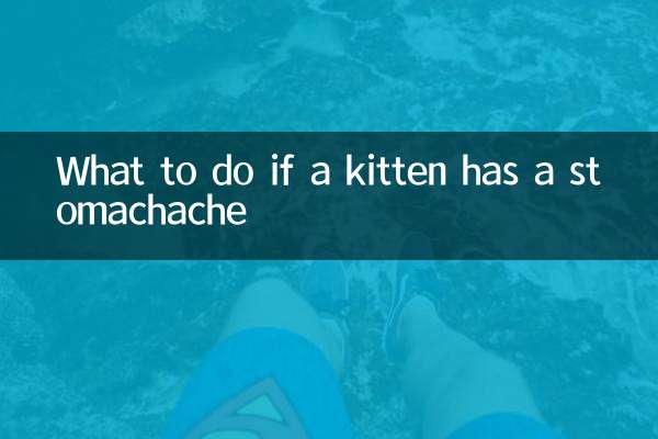Que faire si un chaton a mal au ventre