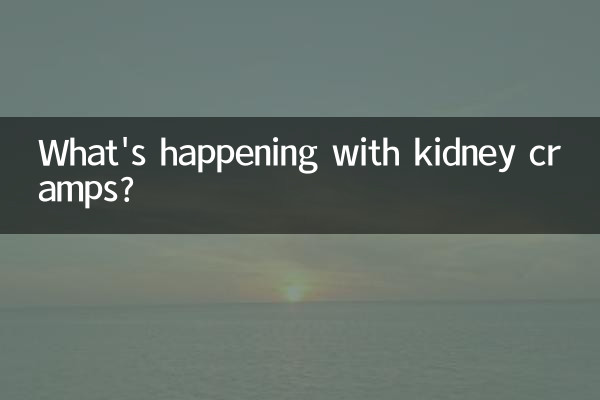 কিডনি ক্র্যাম্প সঙ্গে কি ঘটছে?