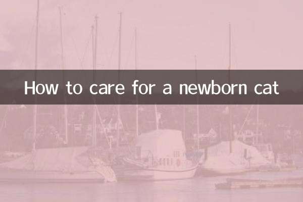 Как ухаживать за новорожденным котом