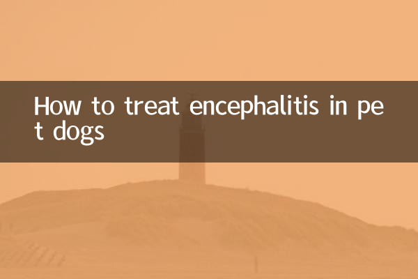 Como tratar a encefalite em cães de estimação