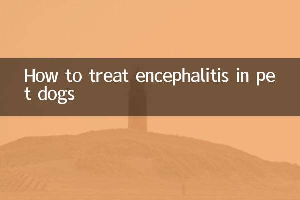 애완견의 뇌염을 치료하는 방법