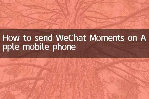 Apple 휴대폰에서 WeChat Moments를 보내는 방법