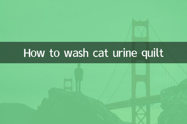 고양이 소변 이불 세탁하는 방법