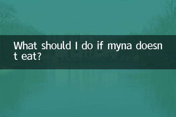 ماذا علي أن أفعل إذا لم تأكل مينا؟