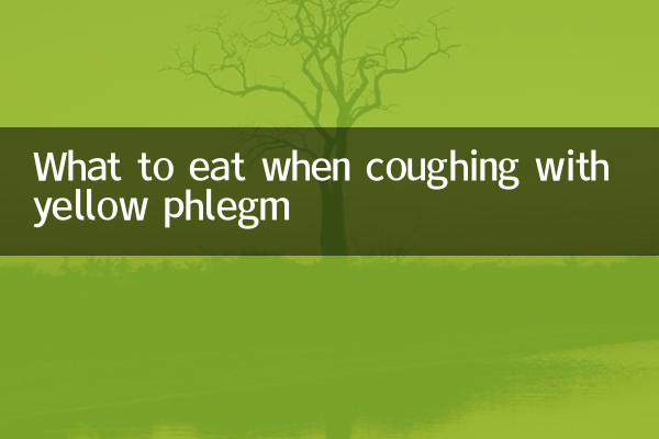 노란 가래로 기침할 때 먹는 음식