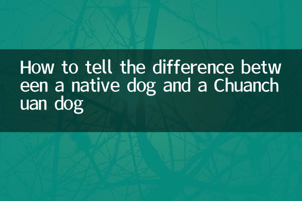 土狗和串串狗怎麼分辨