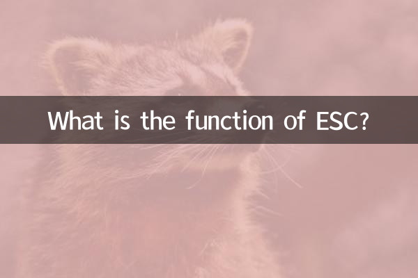 عملکرد ESC چیست؟