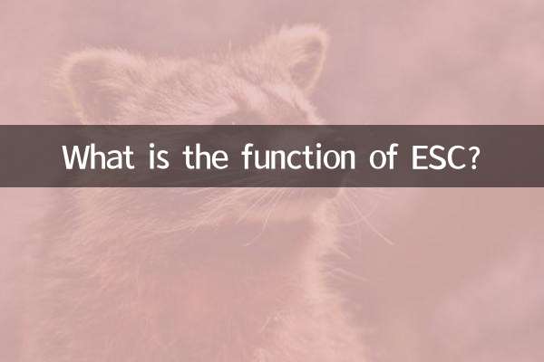 عملکرد ESC چیست؟