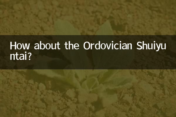 ¿Qué tal el Ordovícico Shuiyuntai?