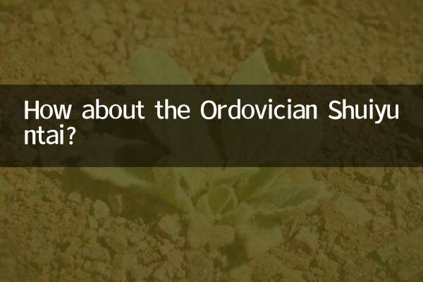 Che ne dici dell'Ordoviciano Shuiyuntai?