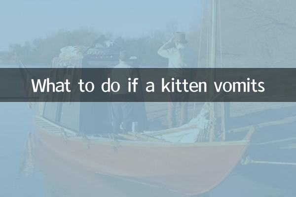 Что делать, если котенка рвет