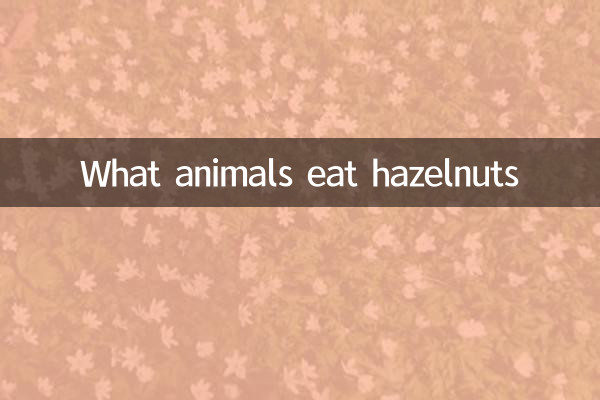 Welche Tiere fressen Haselnüsse?
