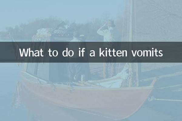 Was tun, wenn ein Kätzchen erbricht?