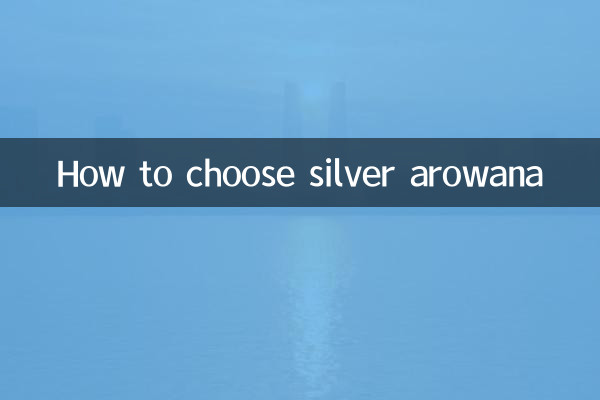 シルバーアロワナの選び方