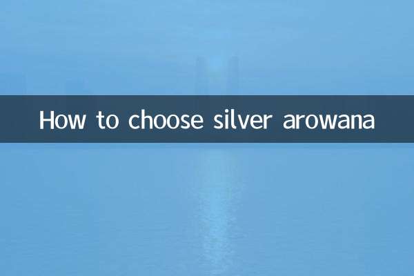 Comment choisir l'arowana argenté