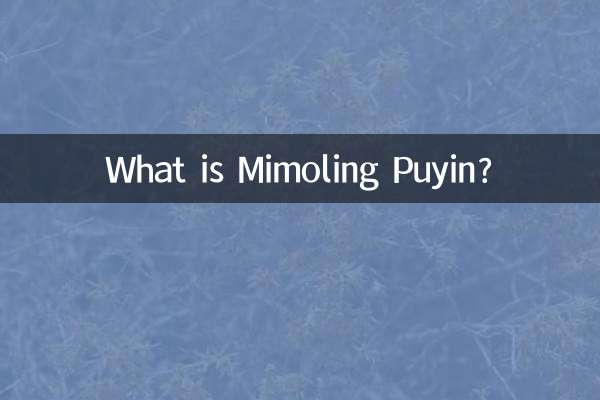 ミモリン・プインとは何ですか？