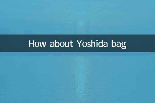 یوشیڈا بیگ کے بارے میں کیا خیال ہے؟