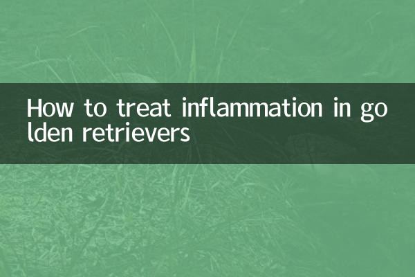 Как лечить воспаление у золотистых ретриверов