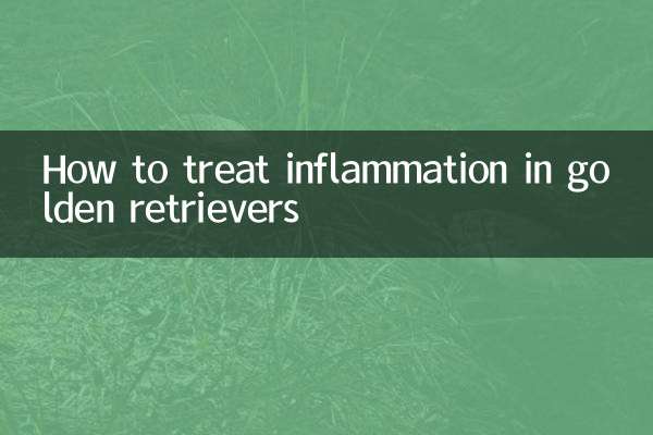Как лечить воспаление у золотистых ретриверов