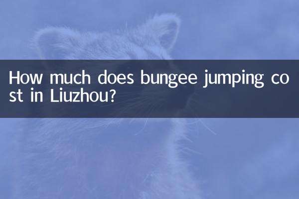 류저우에서 번지점프 비용은 얼마인가요?