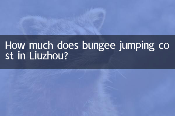 류저우에서 번지점프 비용은 얼마인가요?
