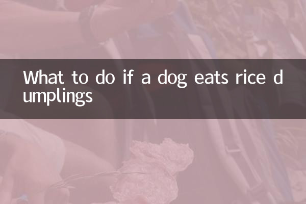 O que fazer se um cachorro comer bolinhos de arroz