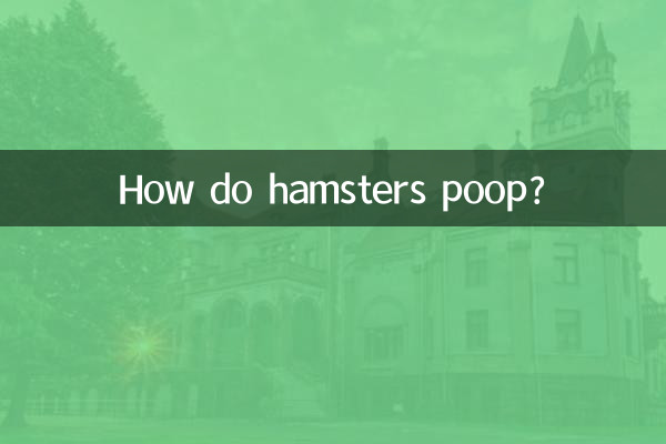 How do hamsters poop?