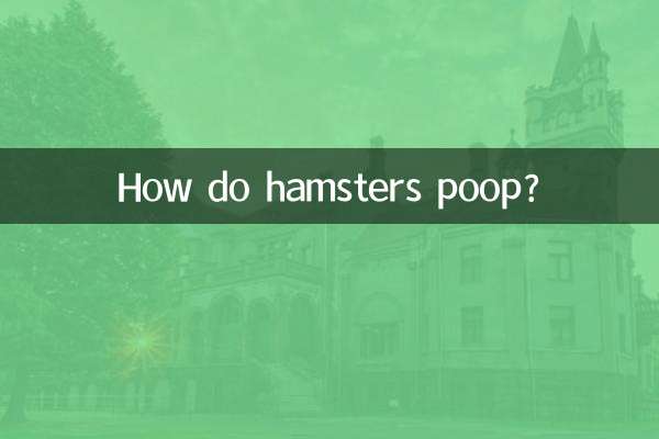 How do hamsters poop?