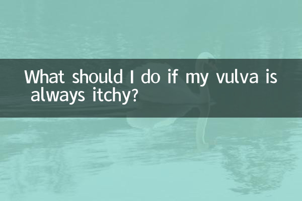 আমার ভালভা সবসময় চুলকানি হলে আমার কি করা উচিত?