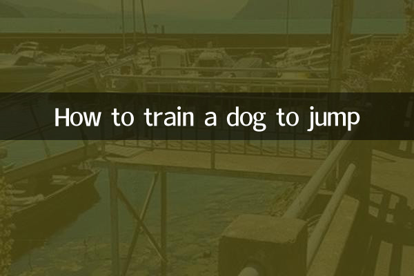 How to train a dog to jump