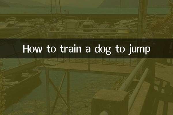 How to train a dog to jump