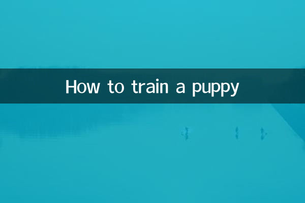How to train a puppy